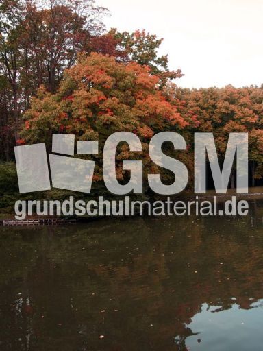 B-Herbststimmung 058.jpg